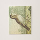 Regarde vintage, Oiseau debout au sol Puzzle (Vertical)