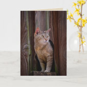 regarder la carte de voeux chat (Fleur jaune)