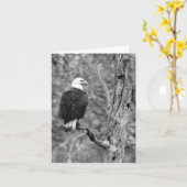 Regarder la carte fixement de note d'Eagle B&W (Fleur jaune)