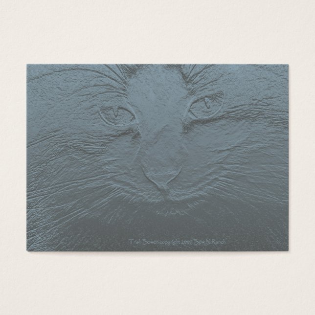 Regarder le chat visage gris bleu (Devant)
