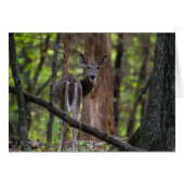 Regarder le passé (Devant Horizontal)