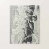 Regarder vintage Walrus Herd Puzzle (Vertical)