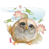 REGARDEZ B4 U LEAP cartes d'art de chouette d'aqua