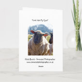 "Regardez carte de voeux de moutons dans mes yeux" (Dos)