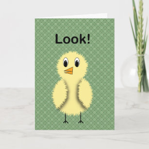 Cartes Poussin D Anniversaire Zazzle Be