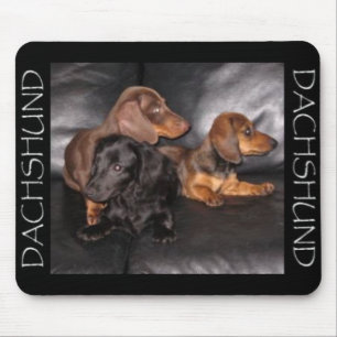 Regardez l'autre tapis de souris de Doxie de