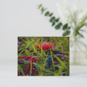 Regardez votre carte postale (Debout devant)