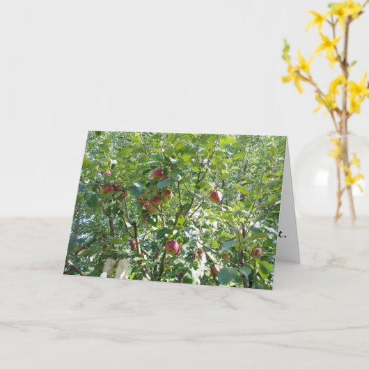 "Regardons dans l'arbre d'Apple" Carte de félicita (Fleur jaune)