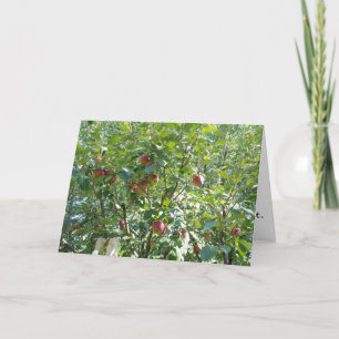 "Regardons dans l'arbre d'Apple" Carte de félicita