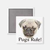 Regel voor handschoenen magneet (Voorkant / Achterkant)