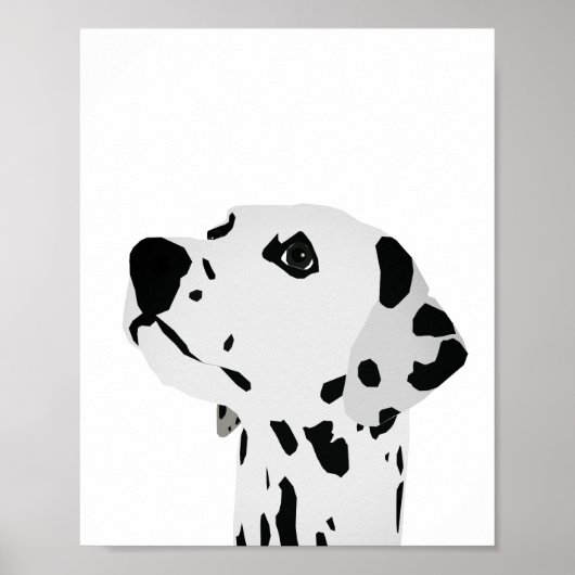 Regels voor Dalmatische spots Poster (Voorkant)