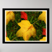 Regen daalt najaar Poster (Voorkant)