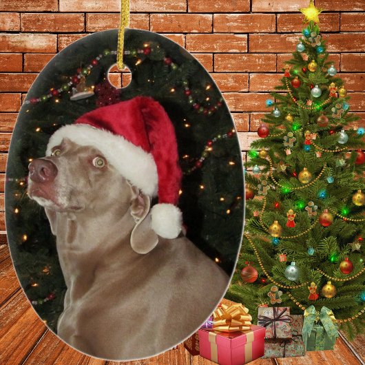 Regen de Weimaraner - een kerstversiering Keramisch Ornament