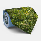 Regen komt langs petit Jean Stropdas (Opgerold)