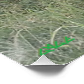 Regen naar beneden in Afrika Perfect Poster (Hoek)