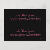 Regen op het Briefkaart Bladwijzer Geraniums (Achterkant)