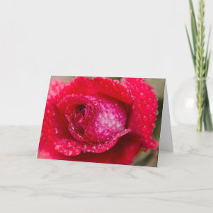 Regen op rood roze blanco Wenskaart Kaart