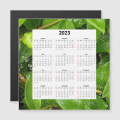 Regen op Spiderweb 2023 magnetische kalender (Voorkant / Achterkant)