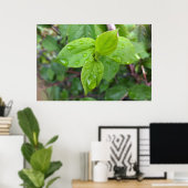 Regen over bladeren poster (Thuiskantoor)