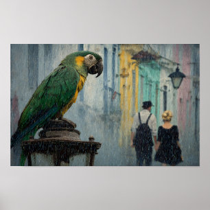 Regenachtige Romance met Papegaai – Papegaai op La Poster