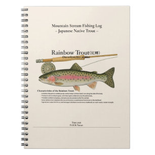 Regenboog Bergstroom Vislogboek Foto Notitieboek