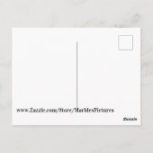 Regenboog Briefkaart (Achterkant)