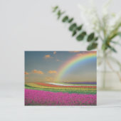 Regenboog Briefkaart (Staand voorkant)