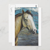 Regenboog Briefkaart (Voorkant / Achterkant)