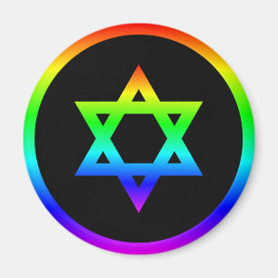Regenboog davidster magneet