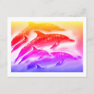 Regenboog dolfijnen kunst briefkaart