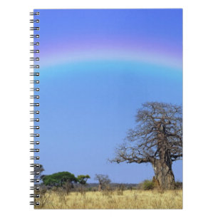 Regenboog en Afrikaanse baobabboom, Adansonia Notitieboek