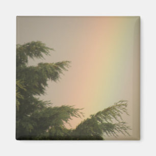 Regenboog en Bomen Magneet