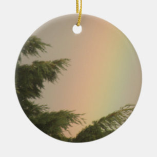 Regenboog en bomen ornament