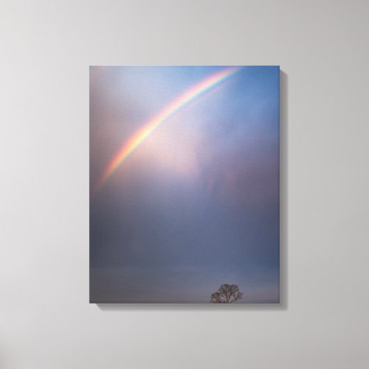 Regenboog en boomlandschap canvas afdruk (Voorkant)