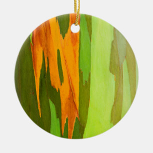 Regenboog Eucalyptus schors, Hawaii Keramisch Ornament