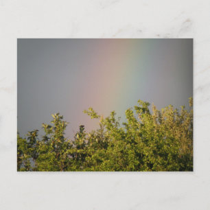 Regenboog Hemel Ansichtkaart Briefkaart