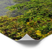 Regenboog in de Smokies Poster (Hoek)