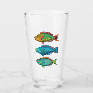 Regenboog, koningin en diepvriesglas glas