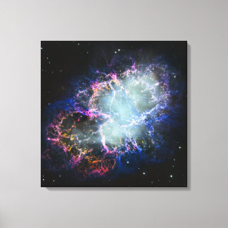 Regenboog Krabnevel 24x24 Canvas Afdruk