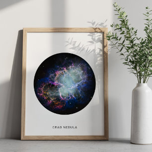 Regenboog Krabnevel Cirkel Foto met Naam 8x10 Poster