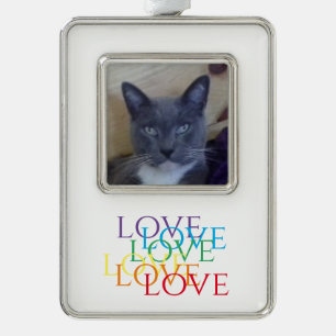 REGENBOOG LIEFDE Verticaal ingelijst foto ornament