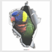 Regenboog Lorikeet Vogelsticker – Exotische Papega Sticker (Vel)