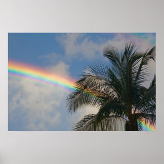 Regenboog met palmboom poster