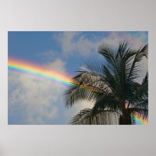 Regenboog met palmboom poster (Voorkant)