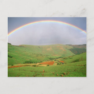 Regenboog Over Heuvels, Oost-Kaap, Zuid-Afrika Briefkaart