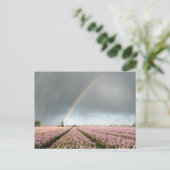 Regenboog over hyacinths en een windmolen in Neder Briefkaart (Staand voorkant)