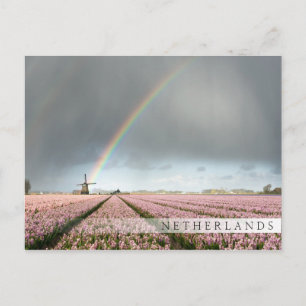 Regenboog over hyacinths en een windmolen in Neder Briefkaart