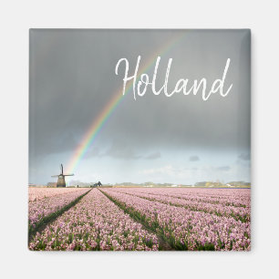 Regenboog over hyacinths en een windmolen in Neder Magneet