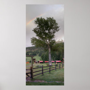 Regenboog over Zoetgras Ranch Poster