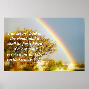 Regenboog Poster